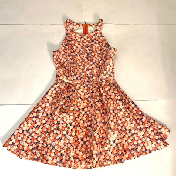 Floral Sleeveless Dress. Pink and Blue - Picture 5 of 17